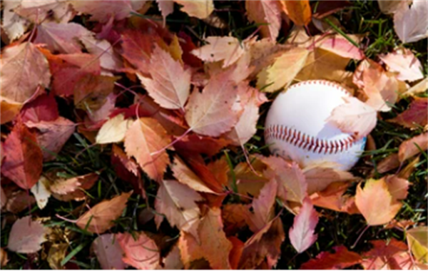 FALL BASEBALL REGESTRATION IS Now OPEN