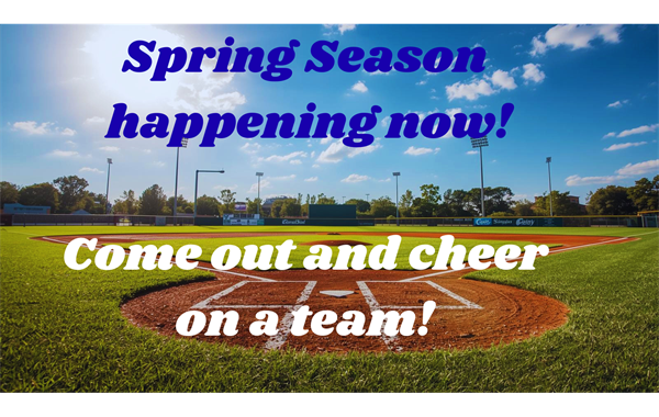 Be a fan at the ballfield! 